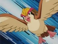 Image via The Pokemon Company